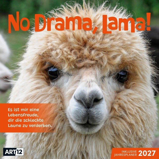 No Drama, Lama Kalender 2027 - 30x30 - Art12 - Ackermann Kunstverlag GmbH