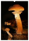 Pilze (Wandkalender 2024 DIN A3 hoch), CALVENDO Monatskalender - Martina Berg