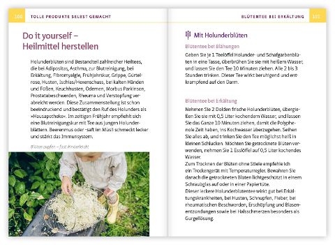 InsideView 4