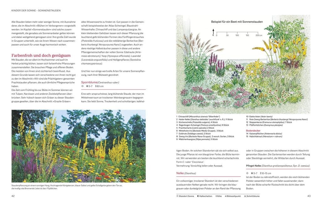 InsideView 4