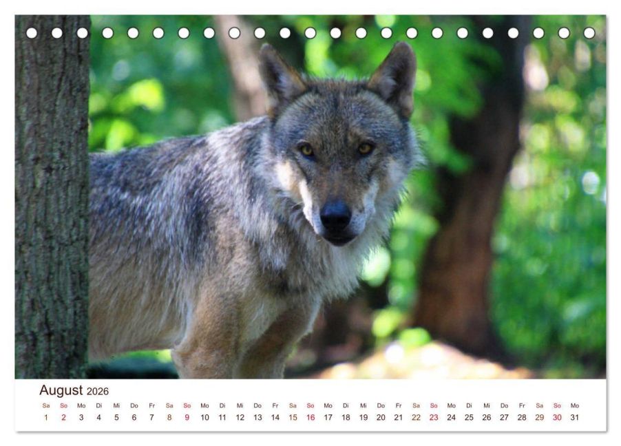 InsideView 13