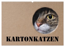 Karton Katzen (Wandkalender 2026 DIN A2 quer), CALVENDO Monatskalender - Thorsten Nilson
