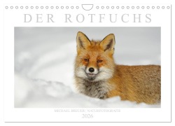 Cover-Bild zum Titel 'Der Rotfuchs (Wandkalender 2026 DIN A4 quer), CALVENDO Monatskalender' von 'Michael Breuer'