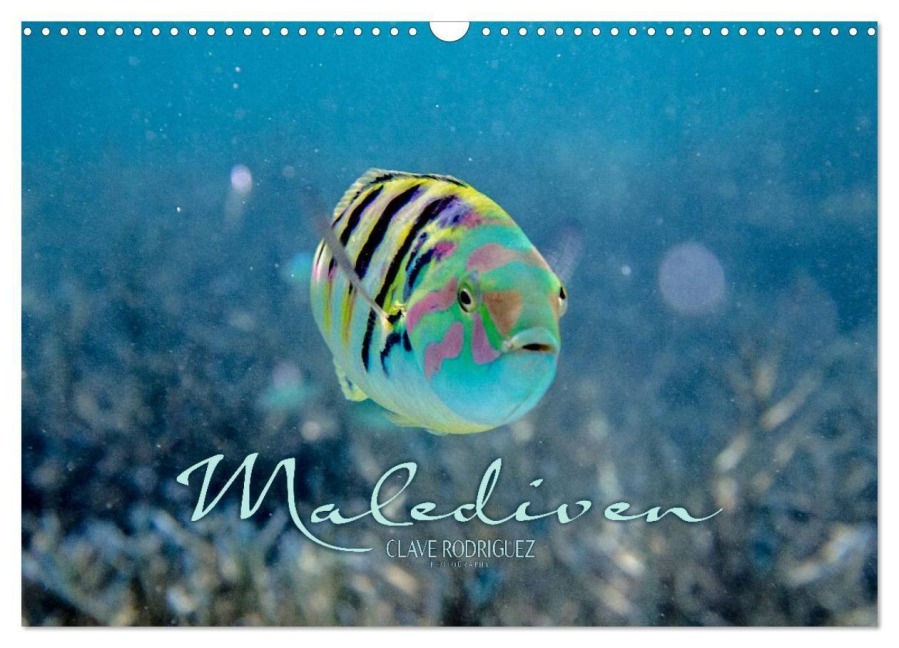 Unterwasserwelt der Malediven II (Wandkalender 2027 DIN A3 quer), CALVENDO Monatskalender - Clave Rodriguez Photography