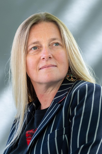 The Christmas Clue - Nicola Upson