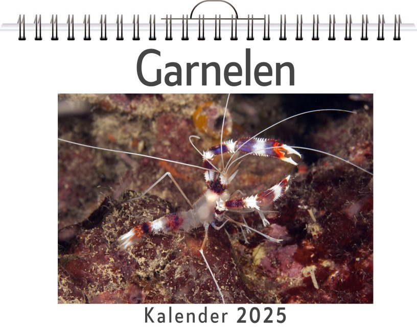 Garnelen - (Wandkalender 2025, Kalender DIN A4 quer, Monatskalender im Querformat mit Kalendarium, das perfekte Geschenk) - Lina Schmidt