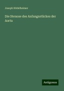 Die Stenose des Anfangsstückes der Aorta - Joseph Rödelheimer