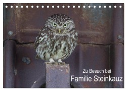 Cover-Bild zum Titel 'Zu Besuch bei Familie Steinkauz (Tischkalender 2026 DIN A5 quer), CALVENDO Monatskalender' von 'Martin Wenner'