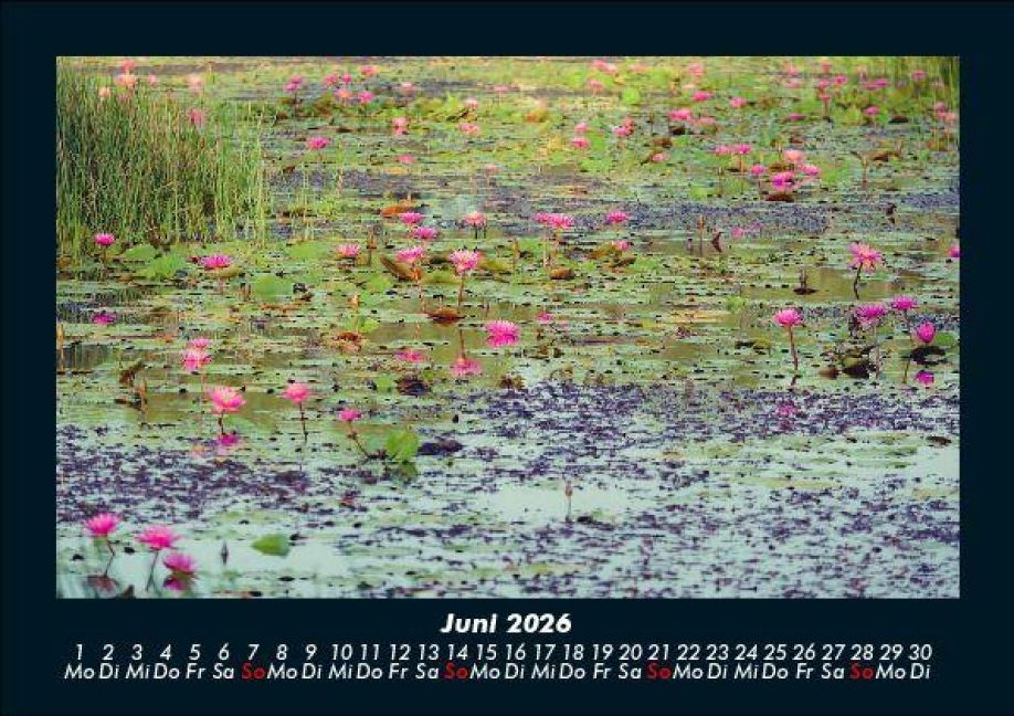 InsideView 10