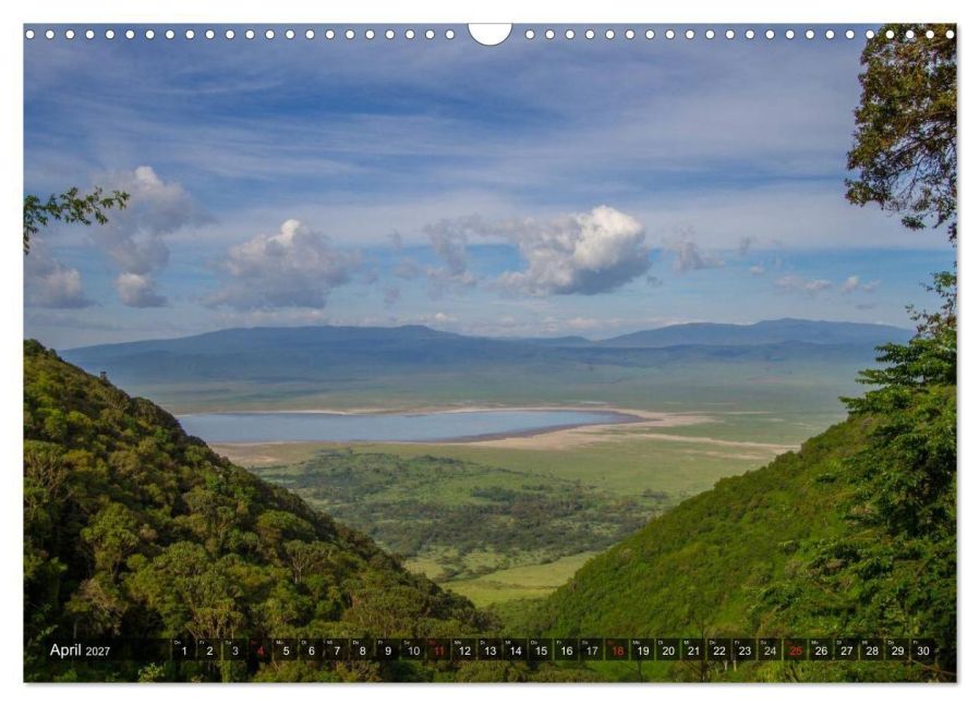 InsideView 9