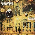 Sweet Oblivion (Expanded 2CD Edition) - Screaming Trees