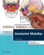 Cover-Bild zum Titel 'Anatomie Malatlas' von 'Wynn Kapit, Lawrence M. Elson'