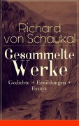 Cover-Bild zum Titel 'Gesammelte Werke: Gedichte + Erzählungen + Essays' von 'Richard Von Schaukal'
