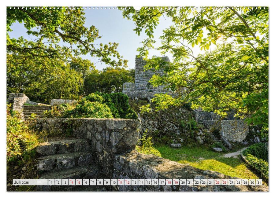 InsideView 12