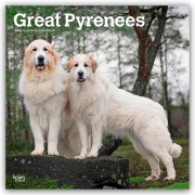 Cover-Bild zum Titel 'Great Pyrenees - Pyrenäenberghund 2026 - 16-Monatskalender' von 'Browntrout Publishers'