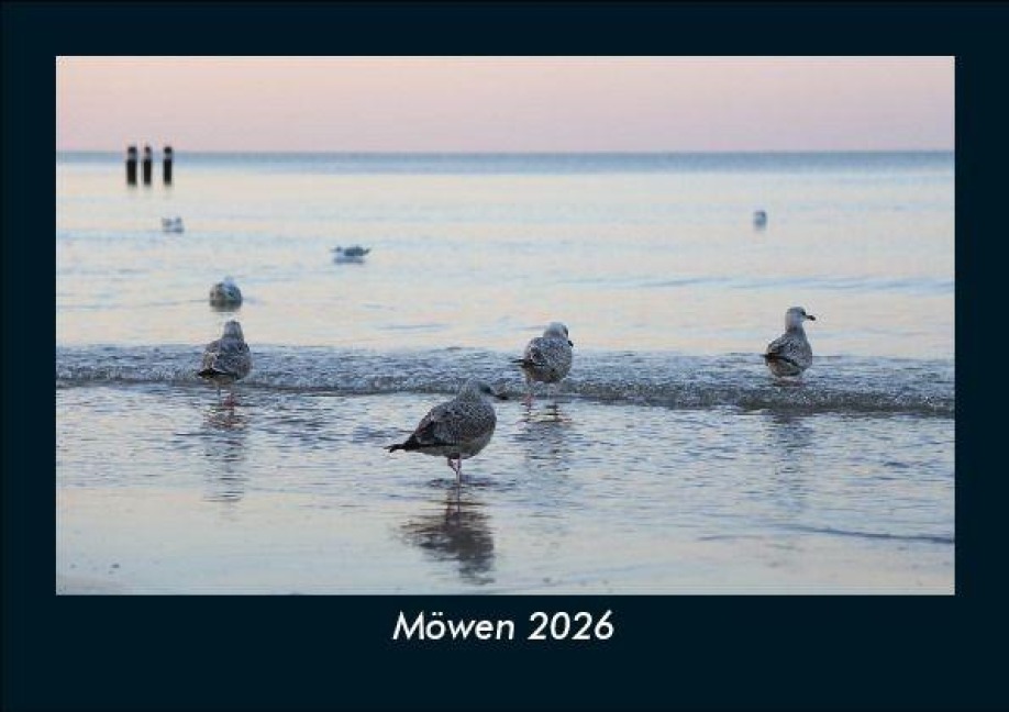 Möwen 2026 Fotokalender DIN A5 - Tobias Becker