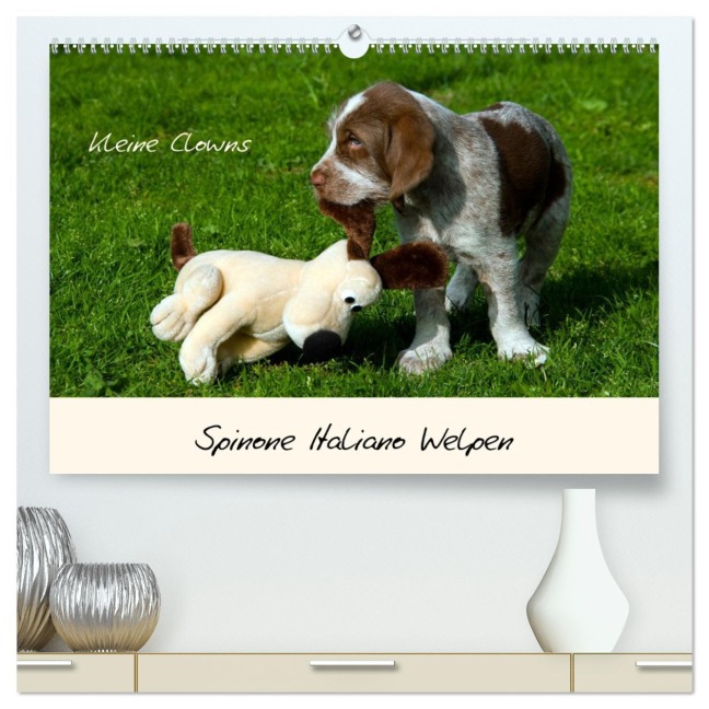 Spinone Italiano Welpen - Kleine Clowns (hochwertiger Premium Wandkalender 2026 DIN A2 quer), Kunstdruck in Hochglanz - Silvia Drafz