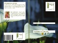 Cover-Bild zum Titel 'Paysages de Cannelle' von 'Laura Vanel- Coytte'