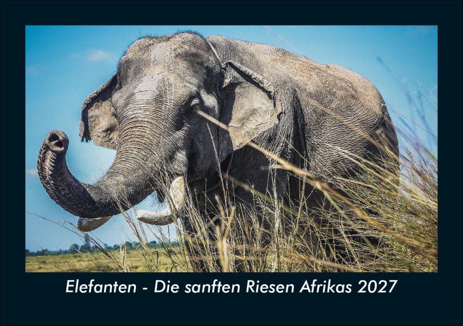 Elefanten - Die sanften Riesen Afrikas 2027 Fotokalender DIN A5 - Tobias Schmitt, Kevin Heber