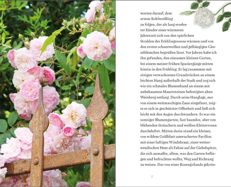 InsideView 3