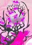 Cover-Bild zum Titel 'Astre Two' von ''