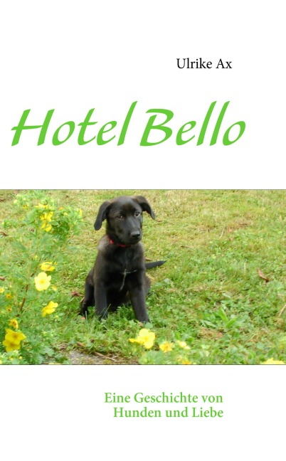 Hotel Bello - Ulrike Ax