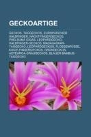 Geckoartige - 