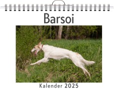Cover-Bild zum Titel 'Barsoi' von 'Aaron Hoffmann'