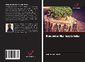 Cover-Bild zum Titel 'Etnobotanika luzyta¿ska' von 'Md. Salah Uddin'