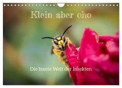 Cover-Bild zum Titel 'Klein aber oho. Die bunte Welt der Insekten (Wandkalender 2026 DIN A4 quer), CALVENDO Monatskalender' von ''