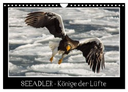 Seeadler - Könige der Lüfte (Wandkalender 2026 DIN A4 quer), CALVENDO Monatskalender - Thomas Schwarz Fotografie