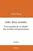Cover-Bild zum Titel 'Entre deux mondes' von 'André Moog'