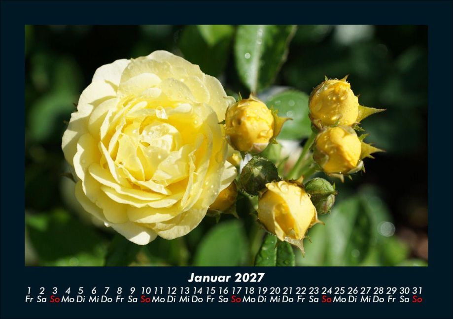 InsideView 5