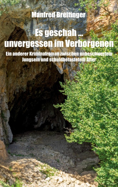 Es geschah ... unvergessen im Verborgenen - Manfred Breitinger