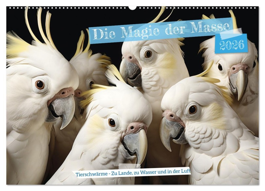 Die Magie der Masse (Wandkalender 2026 DIN A2 quer), CALVENDO Monatskalender - Daniela Tapper