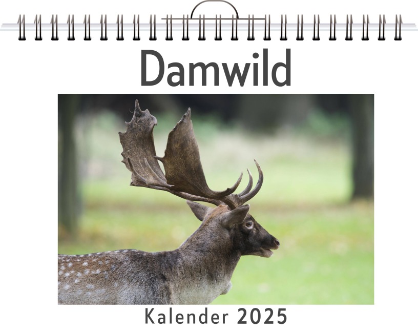 Damwild - Emilia Wolf