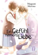 Cover-Bild zum Titel 'Ein Gefühl namens Liebe 05' von 'Megumi Morino'