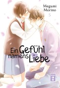 Cover-Bild zum Titel 'Ein Gefühl namens Liebe 05' von 'Megumi Morino'