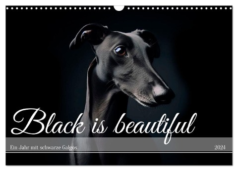 Black is beautiful (Wandkalender 2024 DIN A3 quer), CALVENDO Monatskalender - Andrea Redecker