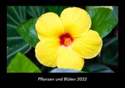 Pflanzen und Blüten 2022 Fotokalender DIN A3 - Tobias Becker