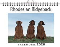 Cover-Bild zum Titel 'Rhodesian Ridgeback' von 'Louis Lang'
