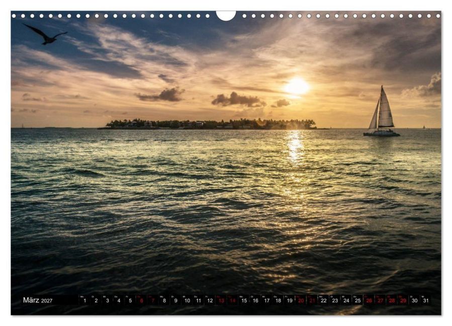 InsideView 8