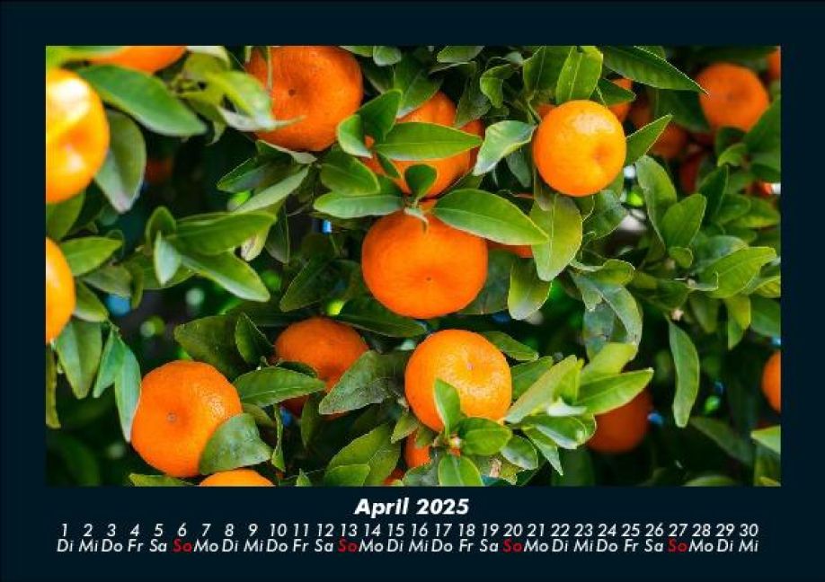 InsideView 8