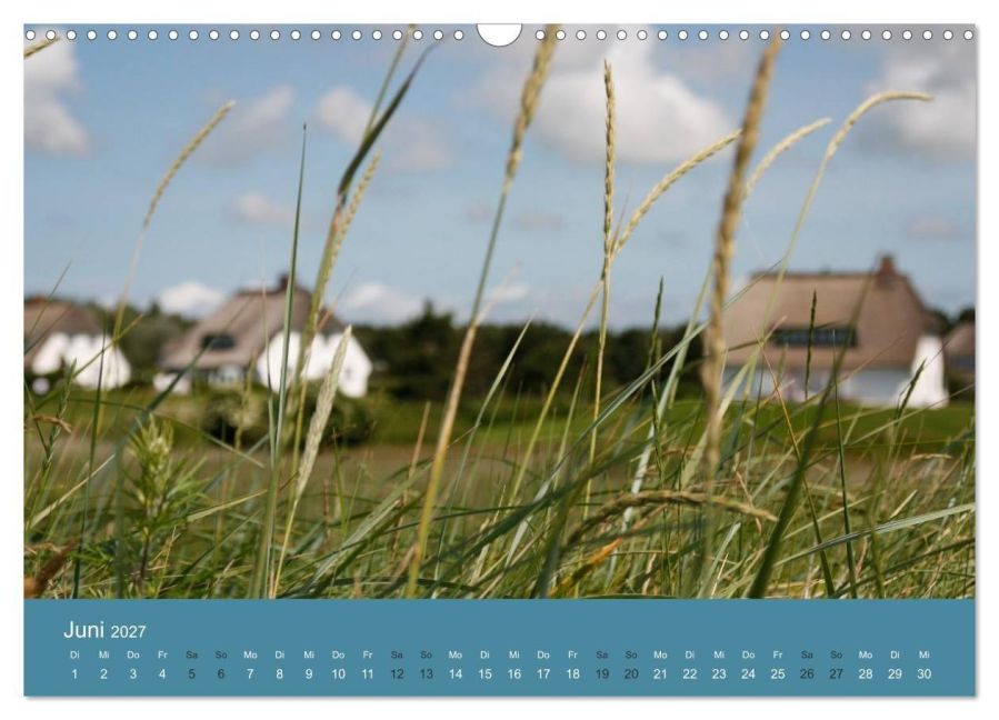 InsideView 11