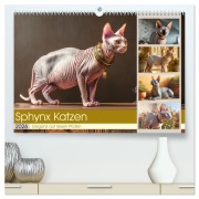 Cover-Bild zum Titel 'Sphinx Katzen. Eleganz auf leisen Pfoten (hochwertiger Premium Wandkalender 2026 DIN A2 quer), Kunstdruck in Hochglanz' von 'Rose Hurley'