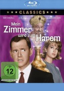 Cover-Bild zum Titel 'Mein Zimmer wird zum Harem' von 'Oscar Brodney, Thomas Anstey Guthrie, Bernard Green'