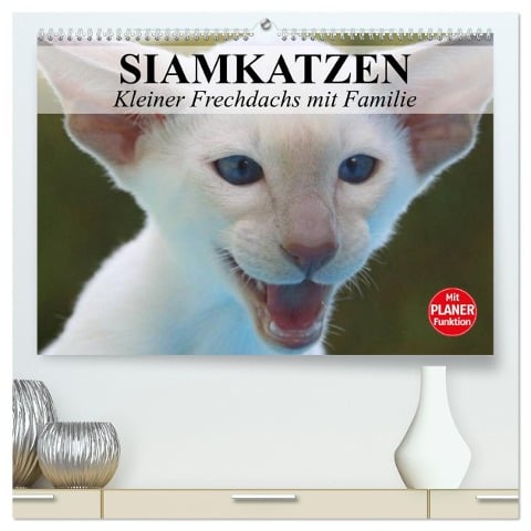 Siamkatzen - Kleiner Frechdachs mit Familie (hochwertiger Premium Wandkalender 2025 DIN A2 quer), Kunstdruck in Hochglanz - Elisabeth Stanzer