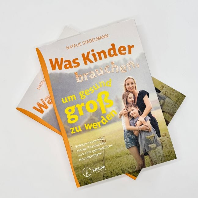 InsideView 2