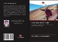 Cover-Bild zum Titel 'COÛTS DE PROCÉDURE' von 'Diego Marcelo Acosta Gómez'