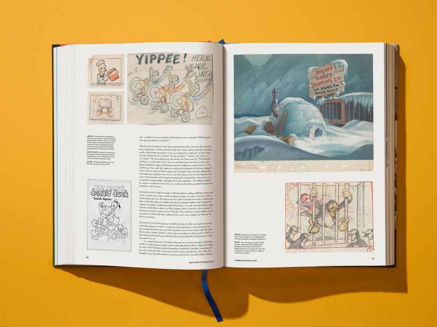 InsideView 13